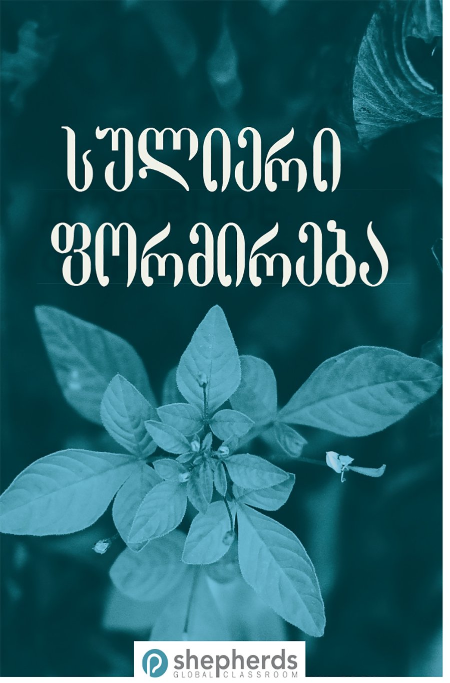 No Image Available